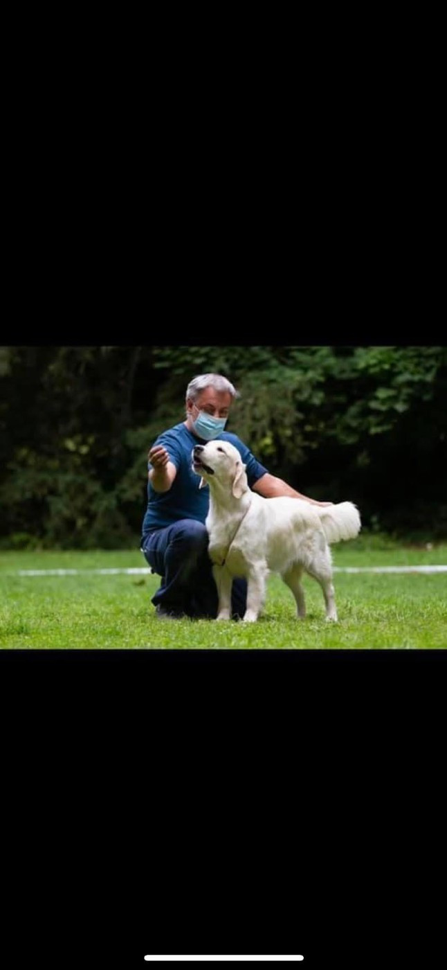 Requiem d'un soir d'été De La Cité Des Ribeaupierre