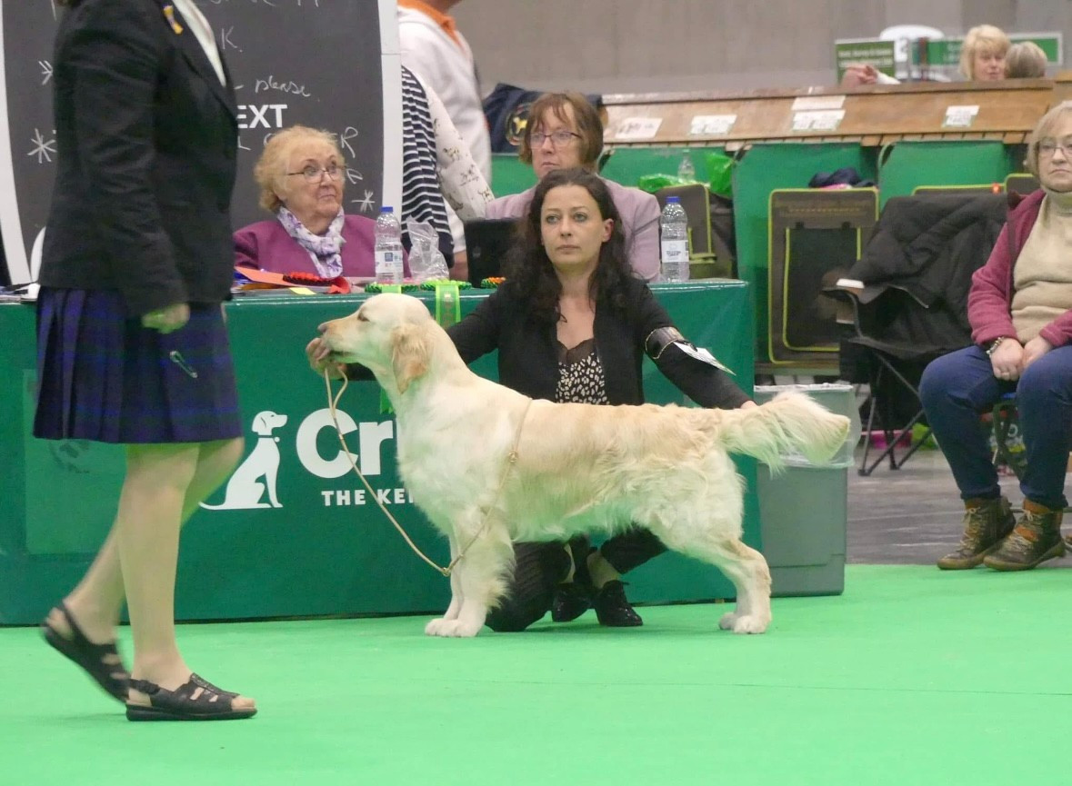 CH. terra di siena Flowers Never Bend With The Rain Fall