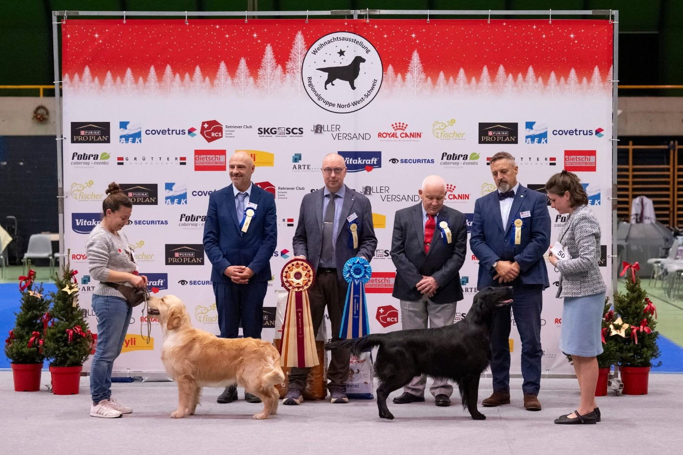 Vent D Liberte De La Cité Des Ribeaupierre